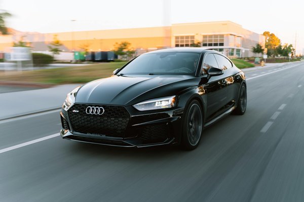 Can Dogs with History of Aggression Be Successfully Rehabilitated?